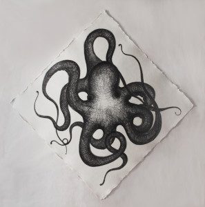 Paolo Canevari, Piovra, 2009, cm 120 x 120, grafite su carta fatta a mano