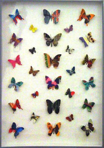 Peter Wüthrich, Book Butterfly, 2009, cm 100 x 70, teca di carta e plexiglass, copertine di libri e spilli